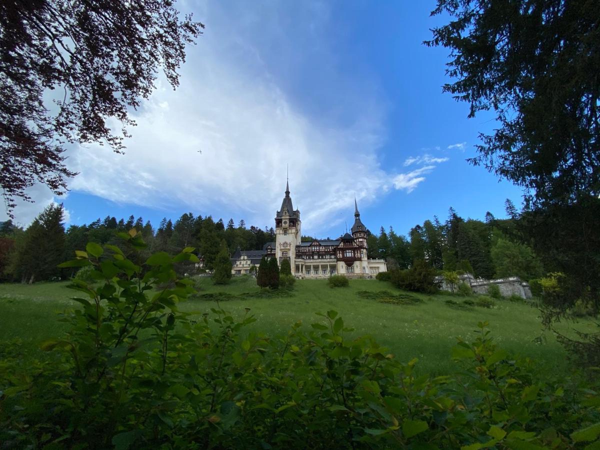 Vila De Argint Aleea Pelesului Nr 2 Sinaia Dış mekan fotoğraf