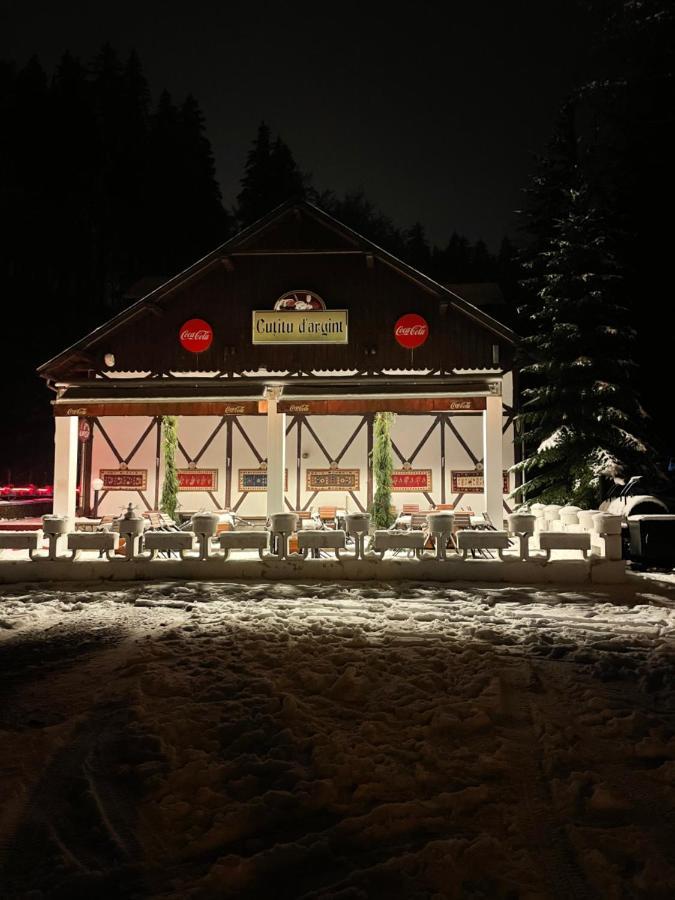 Vila De Argint Aleea Pelesului Nr 2 Sinaia Dış mekan fotoğraf