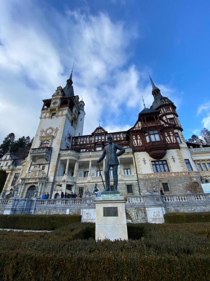Vila De Argint Aleea Pelesului Nr 2 Sinaia Dış mekan fotoğraf
