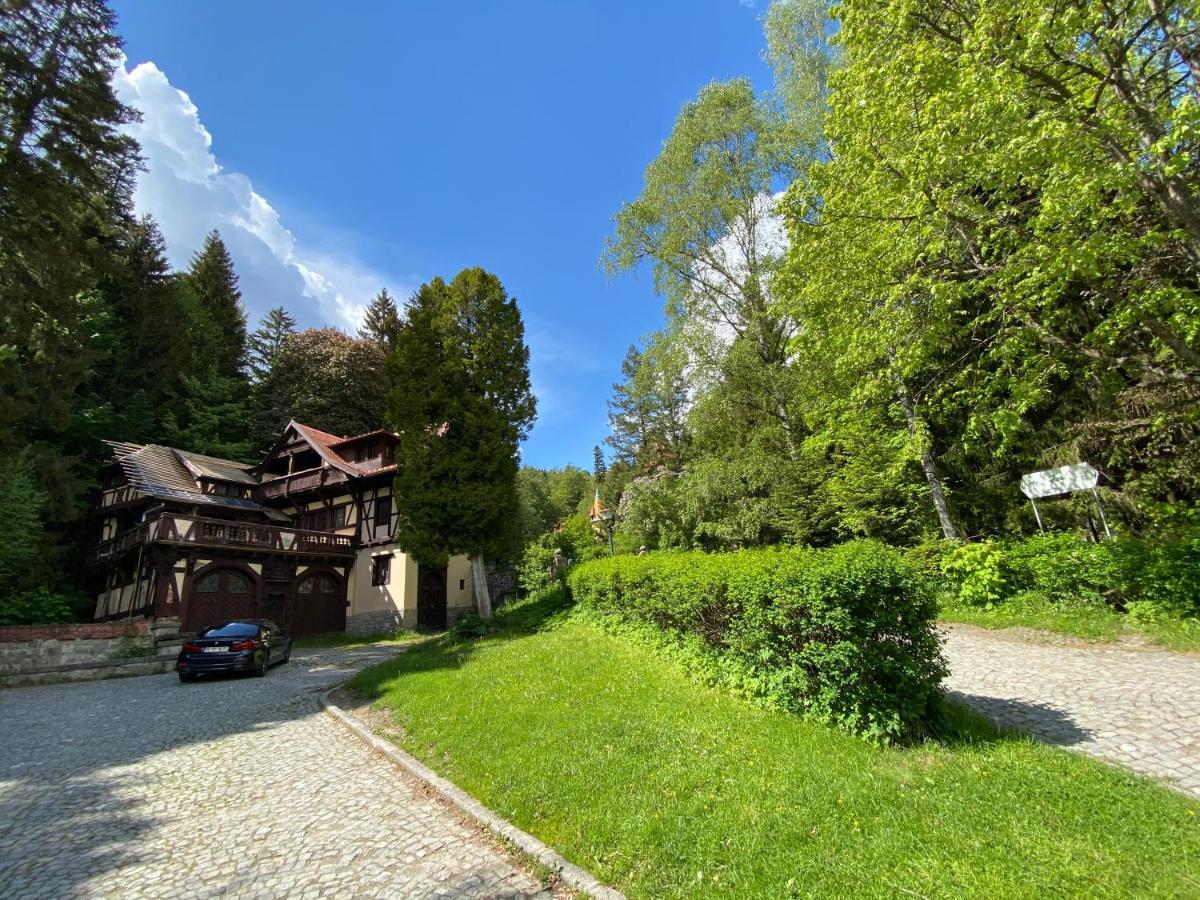 Vila De Argint Aleea Pelesului Nr 2 Sinaia Dış mekan fotoğraf
