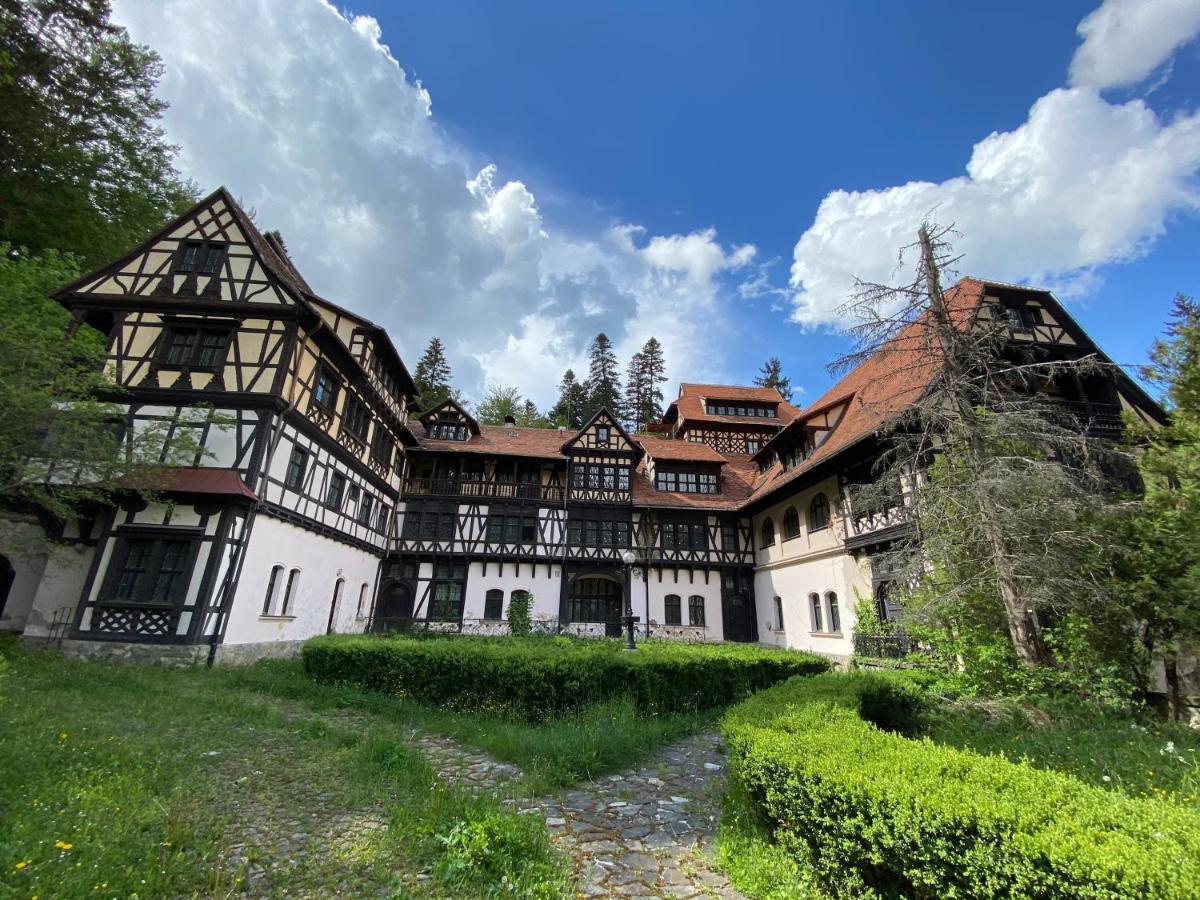 Vila De Argint Aleea Pelesului Nr 2 Sinaia Dış mekan fotoğraf