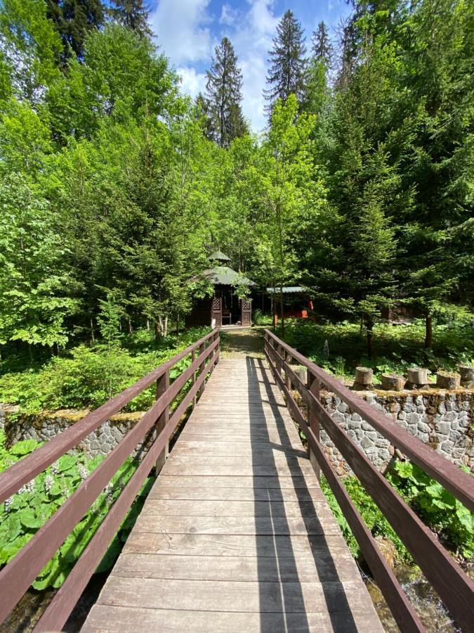 Vila De Argint Aleea Pelesului Nr 2 Sinaia Dış mekan fotoğraf