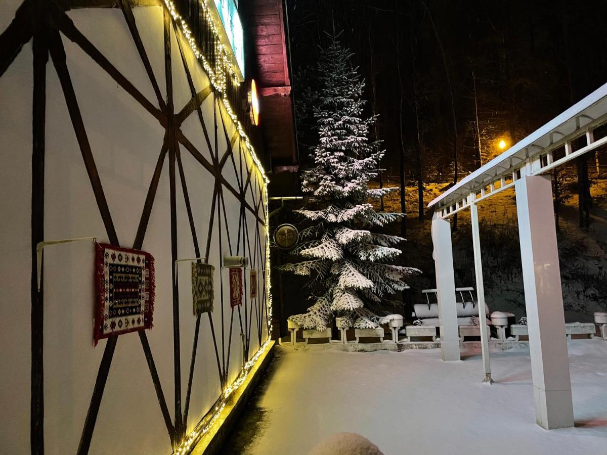Vila De Argint Aleea Pelesului Nr 2 Sinaia Dış mekan fotoğraf