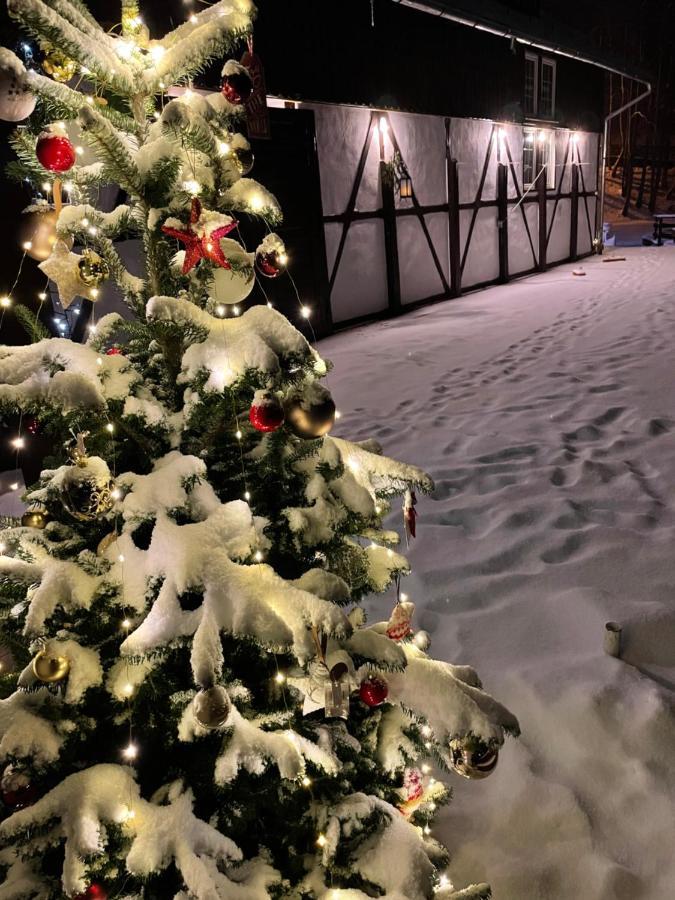 Vila De Argint Aleea Pelesului Nr 2 Sinaia Dış mekan fotoğraf