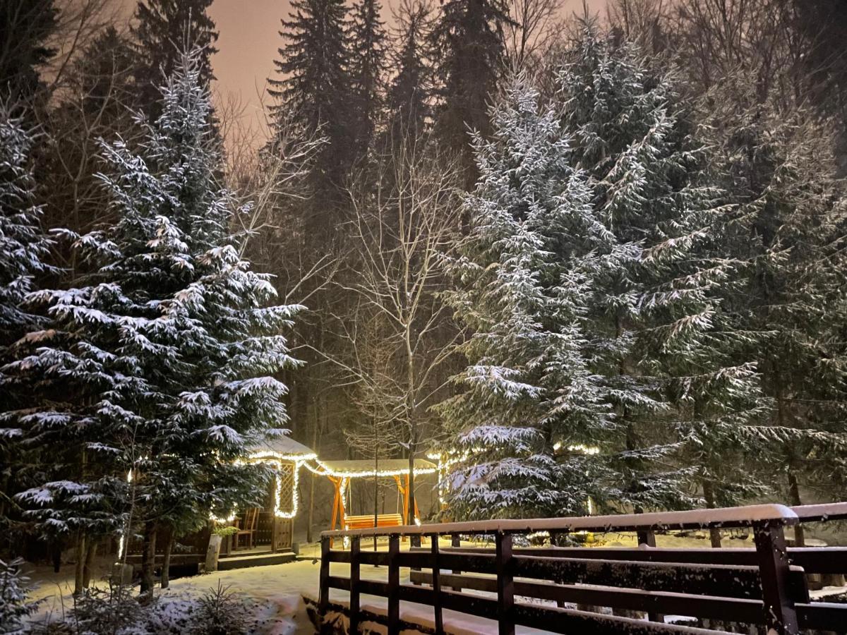 Vila De Argint Aleea Pelesului Nr 2 Sinaia Dış mekan fotoğraf