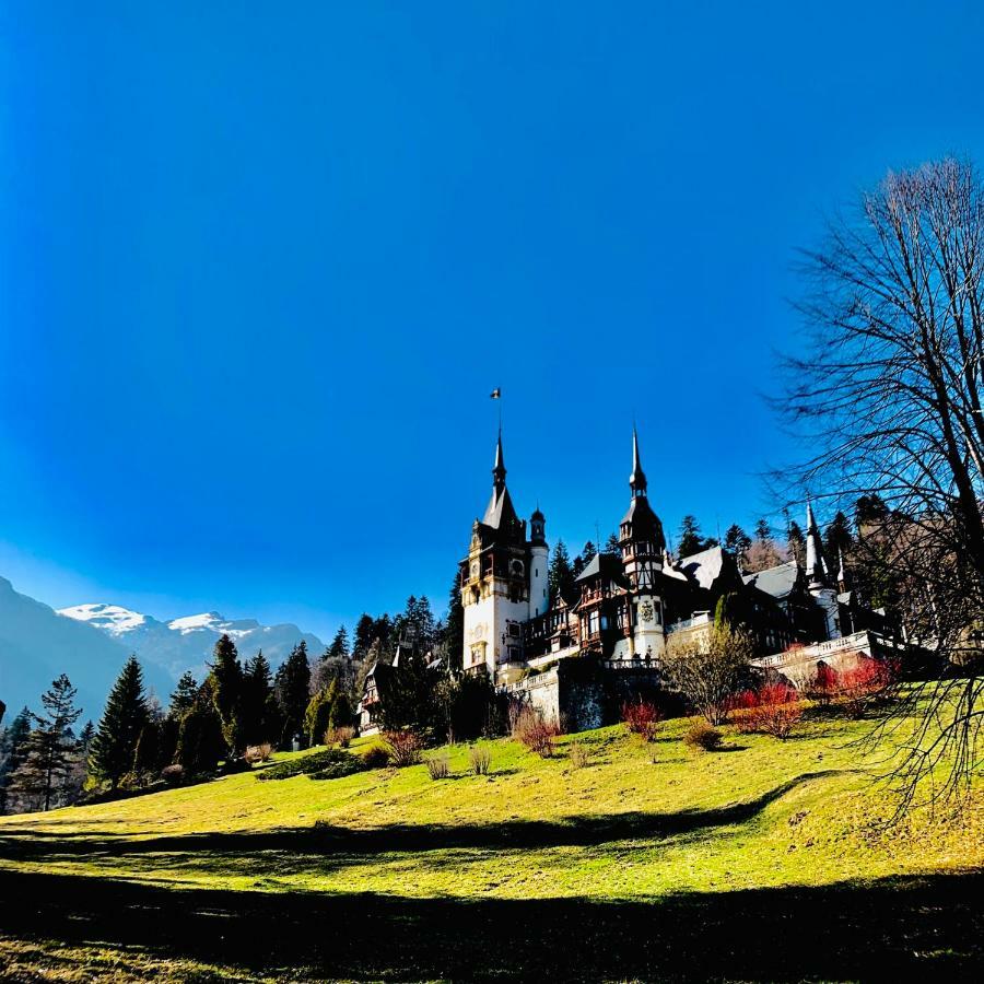 Vila De Argint Aleea Pelesului Nr 2 Sinaia Dış mekan fotoğraf
