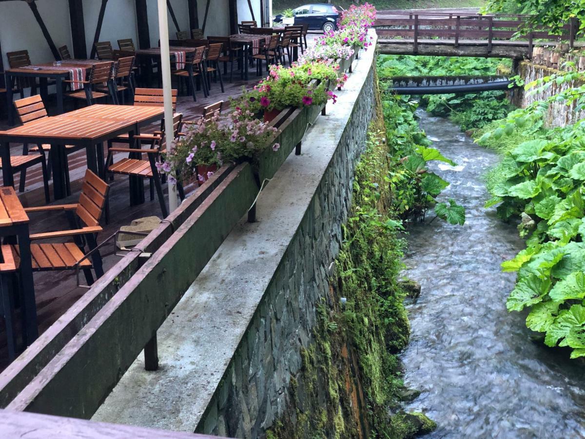 Vila De Argint Aleea Pelesului Nr 2 Sinaia Dış mekan fotoğraf