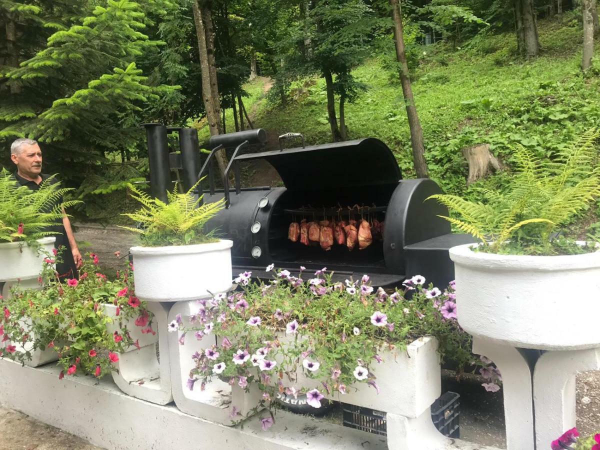 Vila De Argint Aleea Pelesului Nr 2 Sinaia Dış mekan fotoğraf