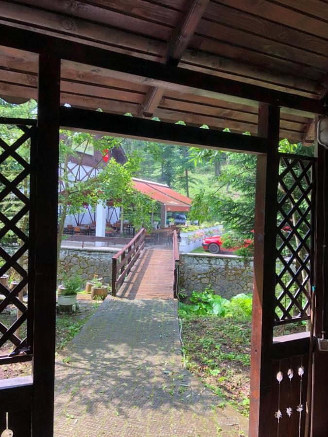 Vila De Argint Aleea Pelesului Nr 2 Sinaia Dış mekan fotoğraf